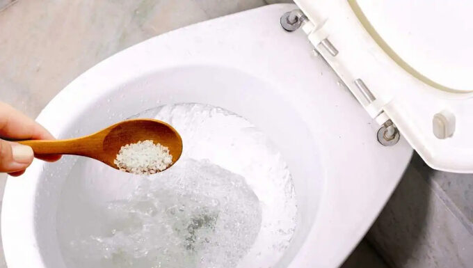 Why Sprinkle Salt in the Toilet Bowl?