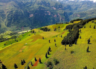 The Secret Charm of Suoi Thao Grassland: Why Travellers Call it a Little Europe in the Mountains