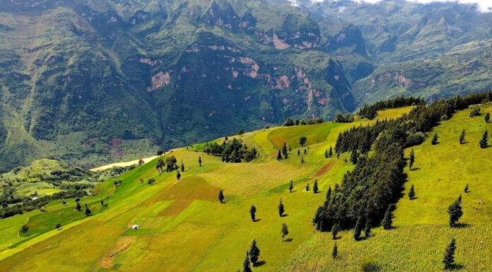 The Secret Charm of Suoi Thao Grassland: Why Travellers Call it a Little Europe in the Mountains