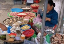 The Heart of Binh Dinh: A Seafood Market with Centuries-Old Charm and Unbeatable Prices