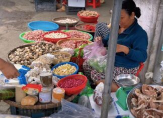 The Heart of Binh Dinh: A Seafood Market with Centuries-Old Charm and Unbeatable Prices