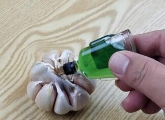 The Magic of Summer: A Mother-in-Law’s Secret to a Pest-Free Home