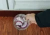 “The Ultimate Onion Hack: A Tried and Tested Solution to Household Hassles”