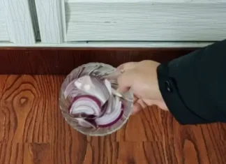 “The Ultimate Onion Hack: A Tried and Tested Solution to Household Hassles”