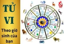 The Golden Hours: Nurturing Your Child’s Intelligence