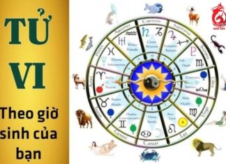 The Golden Hours: Nurturing Your Child’s Intelligence