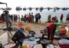 Hundreds of Women Flock to the Quang Ngai Fish Market at Dawn, a Peculiar Name that Leaves Many Puzzled