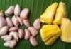 The Power of Jackfruit Seeds: Unlocking 3 Amazing Benefits for Your Health