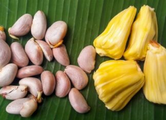 The Power of Jackfruit Seeds: Unlocking 3 Amazing Benefits for Your Health