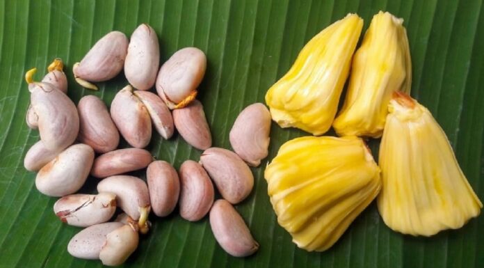 The Power of Jackfruit Seeds: Unlocking 3 Amazing Benefits for Your Health