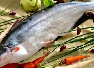 The Fish With an Enticing Aroma: A Delicious Treat Worth Every Penny