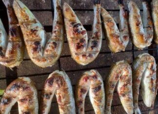 The “Heavenly” Fish Exclusive to Nghe An: From a Humble Rural Dish to a Coveted Delicacy Among Women for Its Special Significance