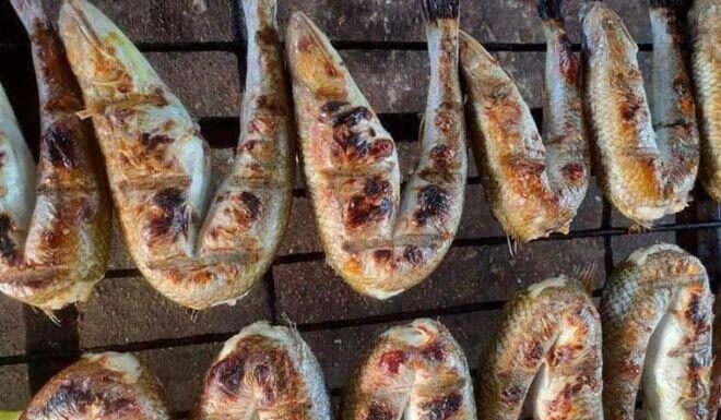 The “Heavenly” Fish Exclusive to Nghe An: From a Humble Rural Dish to a Coveted Delicacy Among Women for Its Special Significance