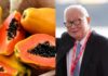The Ultimate Youth-Preserving Fruit: A Billionaire’s Daily Secret, Found in Vietnamese Gardens
