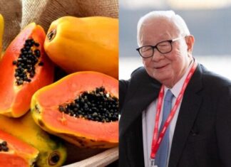 The Ultimate Youth-Preserving Fruit: A Billionaire’s Daily Secret, Found in Vietnamese Gardens