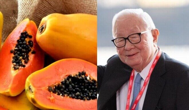 The Ultimate Youth-Preserving Fruit: A Billionaire’s Daily Secret, Found in Vietnamese Gardens