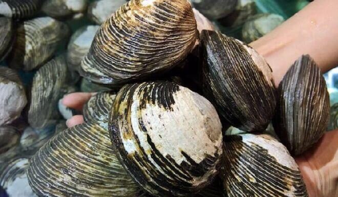 The Ultimate Male Tonic: A Local Delicacy from Quang Ninh with a Rather Unfortunate Name