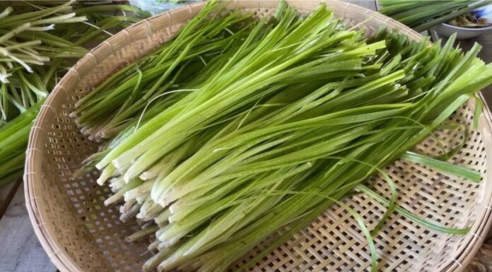 A Heavenly Gift: From Forgotten Delicacy to Cult Favorite, This Ancient Treat Still Commands a Premium Price.