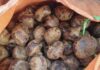 The Secret Mud-grown Delicacy: A Forgotten Vegetable Turned City Favorite, Now Selling at 80,000 VND per kg.