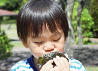 “Summer Vacation: Tweaking Your Child’s Meal Plan for Healthy Development”