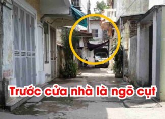 The Ultimate Guide to Wealth: Unlocking the Mystery of Tam Xung