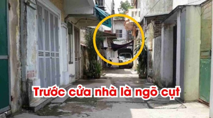 The Ultimate Guide to Wealth: Unlocking the Mystery of Tam Xung