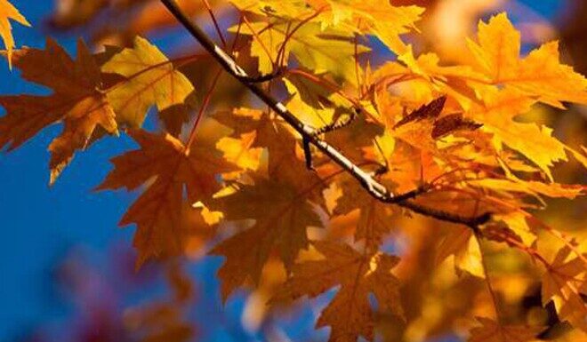 The Fortunate Few: Unveiling the Secrets of a Blessed Life