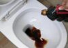 The Magic Potion for Your Toilet: 2 Drops for a Sparkling Surprise!