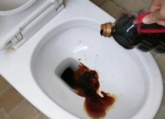 The Magic Potion for Your Toilet: 2 Drops for a Sparkling Surprise!