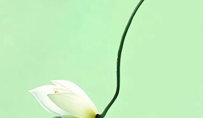 The Face of Fortune: Unveiling the Mark of Destiny.