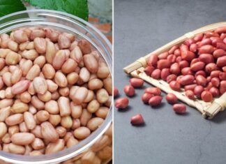 The Ultimate Guide to Roasting Peanuts: Discover the Secret to Long-Lasting Crispness and Freshness