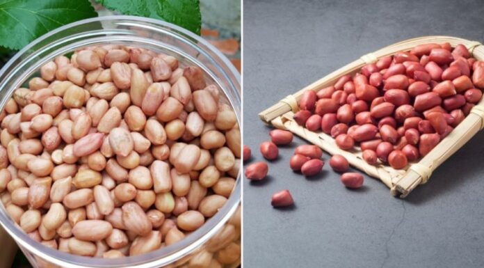 The Ultimate Guide to Roasting Peanuts: Discover the Secret to Long-Lasting Crispness and Freshness