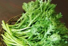 “The Winter Wonder Veggie: Nature’s Detoxifying Delight”