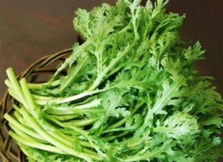 “The Winter Superfood: A Nutritional Delight”