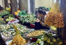 The Luxurious Fruit: From a Rarity to a Street Delicacy in Hanoi