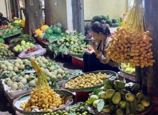 The Luxurious Fruit: From a Rarity to a Street Delicacy in Hanoi