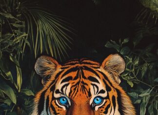 From the Full Moon of the Sixth Lunar Month to New Year’s Eve of the Bính Ngọ 2026: The Three Grandly Auspicious and Prosperous Years, Where Wealth Abounds for Those Aged 2 to an Unmatched Level