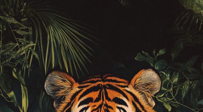 From the Full Moon of the Sixth Lunar Month to New Year’s Eve of the Bính Ngọ 2026: The Three Grandly Auspicious and Prosperous Years, Where Wealth Abounds for Those Aged 2 to an Unmatched Level