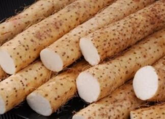 “Affordable Dried Root in Vietnam Dubbed the ‘Longevity Herb’: Boosts Kidney Health and Stabilizes Blood Sugar”