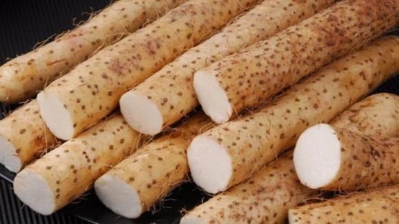 “Affordable Dried Root in Vietnam Dubbed the ‘Longevity Herb’: Boosts Kidney Health and Stabilizes Blood Sugar”