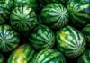 How to Pick Watermelons with Red Flesh, Thin Rind, Sweet Taste, Few Seeds, No Tapping Required