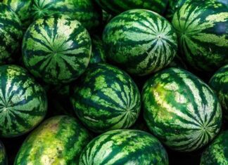 How to Pick Watermelons with Red Flesh, Thin Rind, Sweet Taste, Few Seeds, No Tapping Required