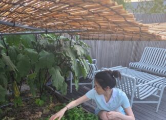 The Anti-Aging Fruit Lee Young Ae Has Been Growing in Her Garden for 12 Years