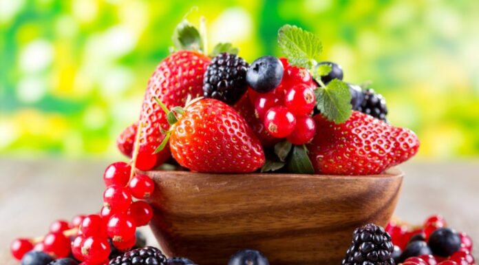 Is a Plant-Based Diet Healthy?