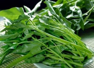 3 Everyday Vegetables to Lower Blood Fat and Stabilize Blood Sugar Levels