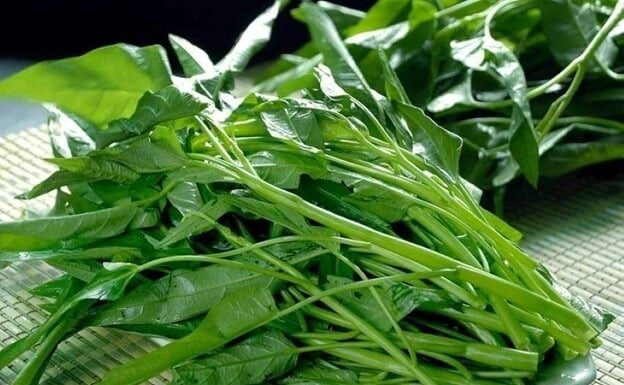 3 Everyday Vegetables to Lower Blood Fat and Stabilize Blood Sugar Levels