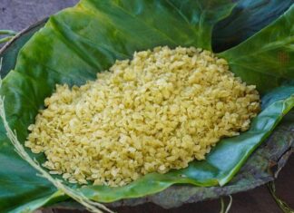 The Ultimate Guide to Hanoi’s Autumn Delicacies: 7 Dishes That Will Leave You Craving for More