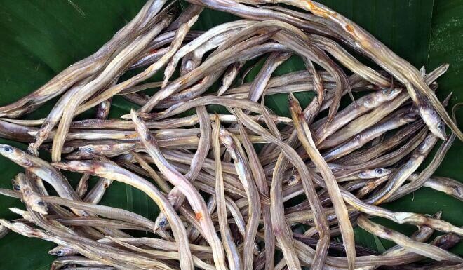 The Unlikely Rise of a Delicacy: From Ignored to Admired, This Fish is Now a Western Region Specialty in Vietnam