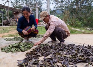 “The Ultimate Hair Revitalizer: Unleash Luscious Locks”