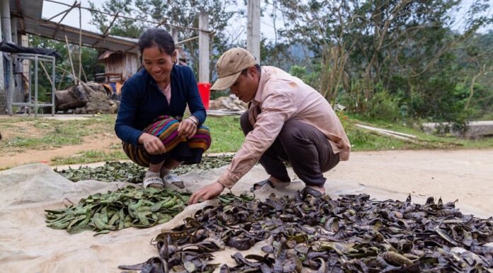 “The Ultimate Hair Revitalizer: Unleash Luscious Locks”